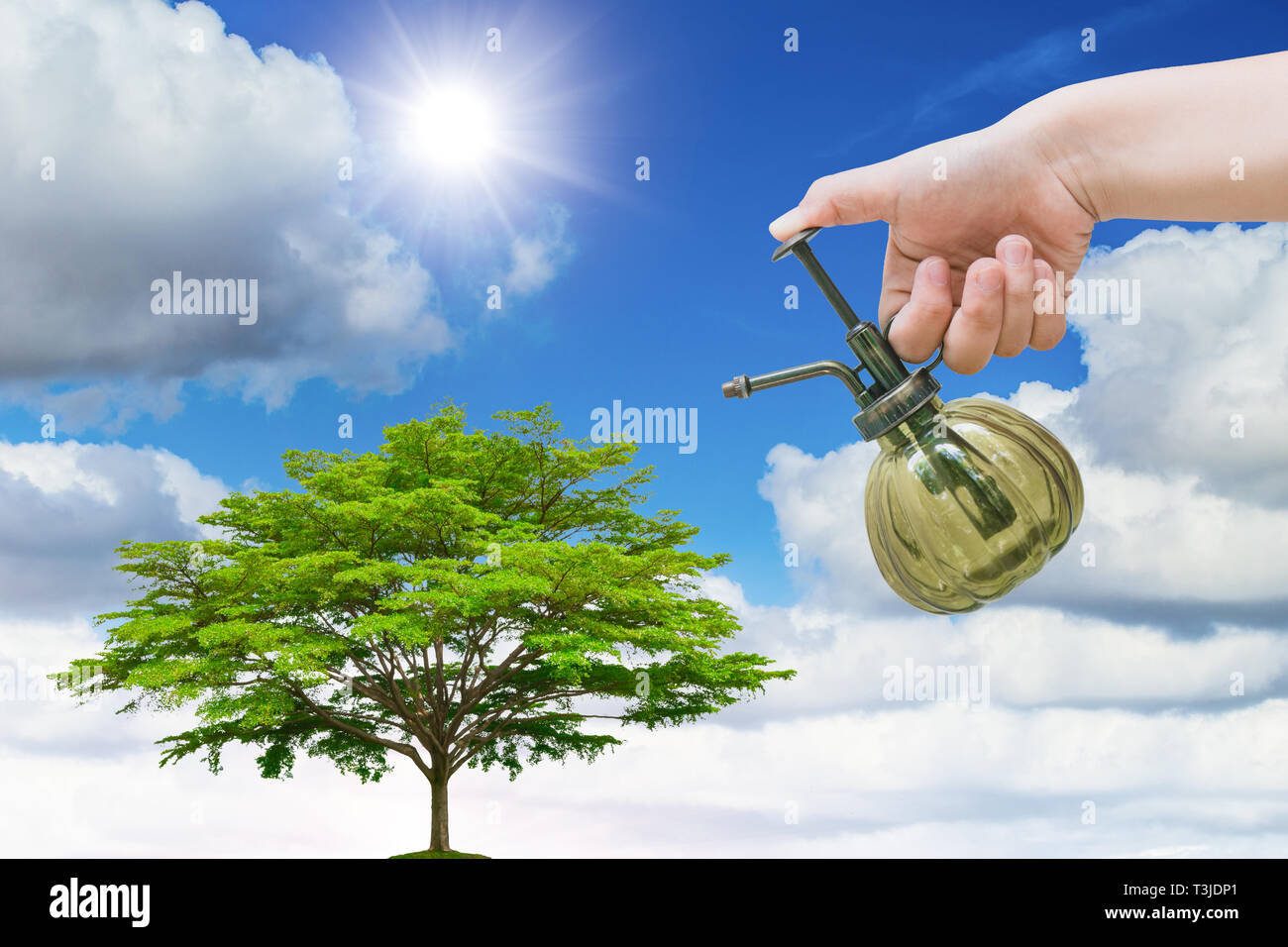 Werk der Baum Konzept Tag der Erde, hand Bewässerung spray Grüner Baum mit blauen Himmel. Stockfoto