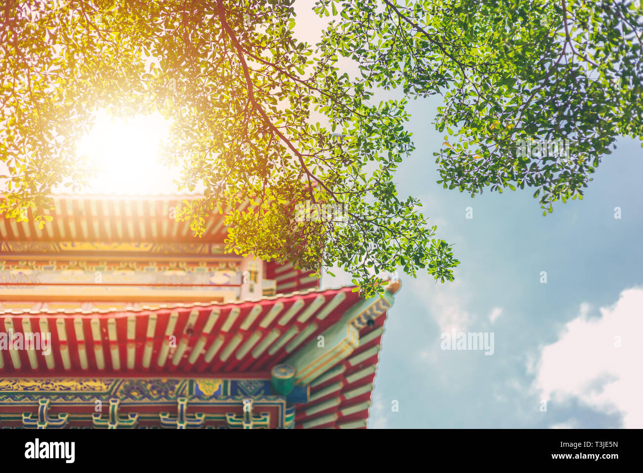 Traditionelle chinesische Gebäude mit grünen Baum Natur China eco reiche Kultur stadt Konzept. Stockfoto