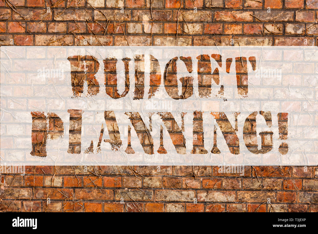 Wort schreiben Text Budgetplanung. Business foto Präsentation Prozess Unternehmen oder Einzelpersonen auswerten Ergebnis Aufwendungen Brick Wall Kunst wie Graffiti mo Stockfoto