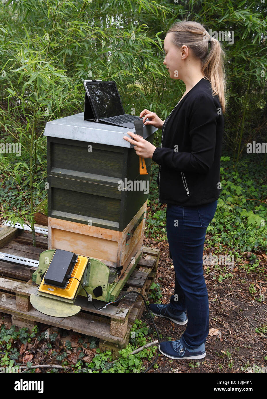 10 April 2019, Baden-Württemberg, Karlsruhe: Katharina Schmidt, Mitgründer  und CEO von Apic.ai GmbH, steht auf einem Bienenstock mit einem Gerät,  durch die der Bienen geben Sie den Bienenkorb (unten im Bild). Mit
