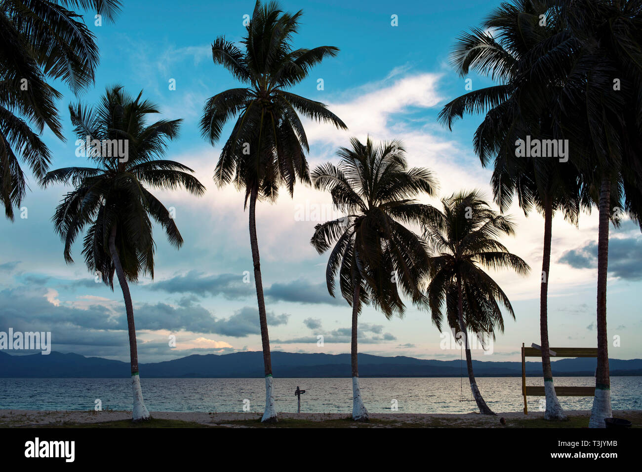 Palmen auf der kleinen Insel Icodub, Kuna Yala. San Blas Inseln, Panama, Mittelamerika. Okt 2018 Stockfoto