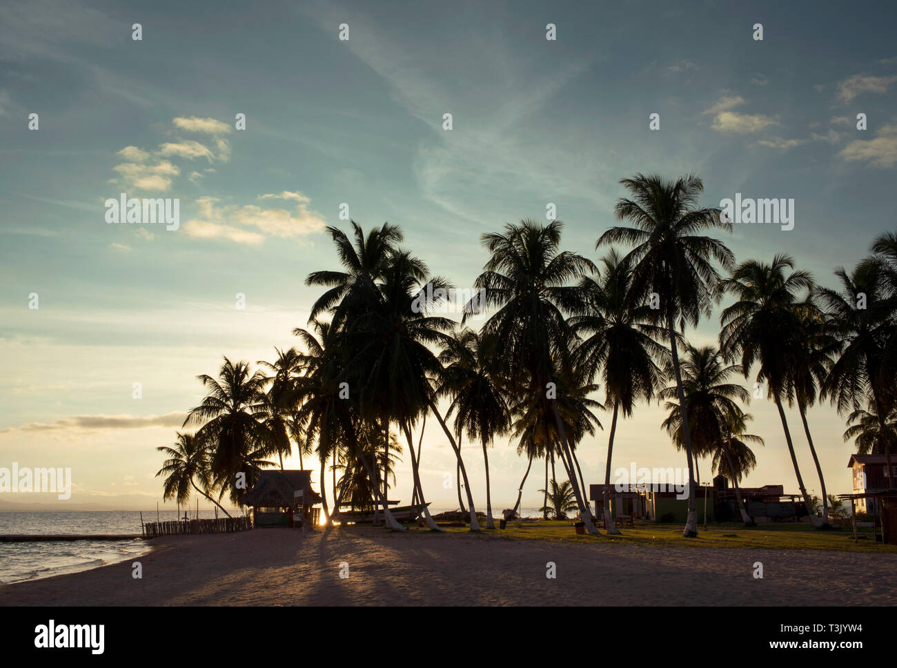 Silhouette von Palmen bei Sonnenuntergang auf Icodub, Kuna Yala (GUNA). San Blas Inseln, Panama, Mittelamerika. Okt 2018 Stockfoto