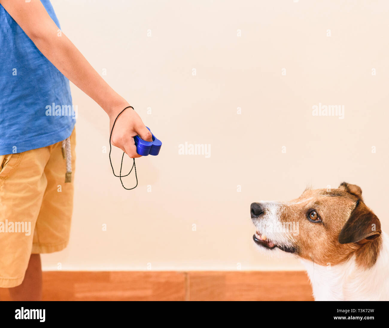 Konzept der positiven Verstärkung Hundetraining mit Kid mit Clicker für Gehorsam Übung Stockfoto