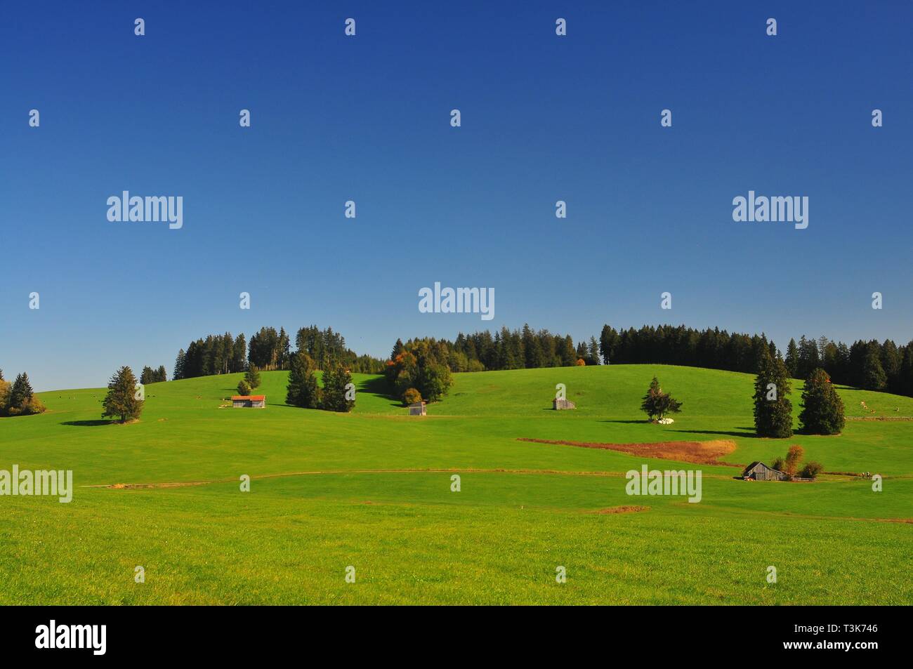 Landschaft im Allgäuer in FÃ¼ssen, Schwaben, Bayern, Deutschland, Europa Stockfoto