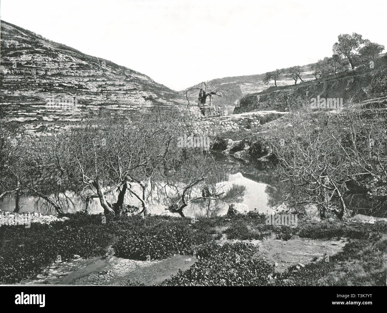 Der Teich Siloah, Jerusalem, Palästina, 1895. Schöpfer: W&S Ltd. Stockfoto