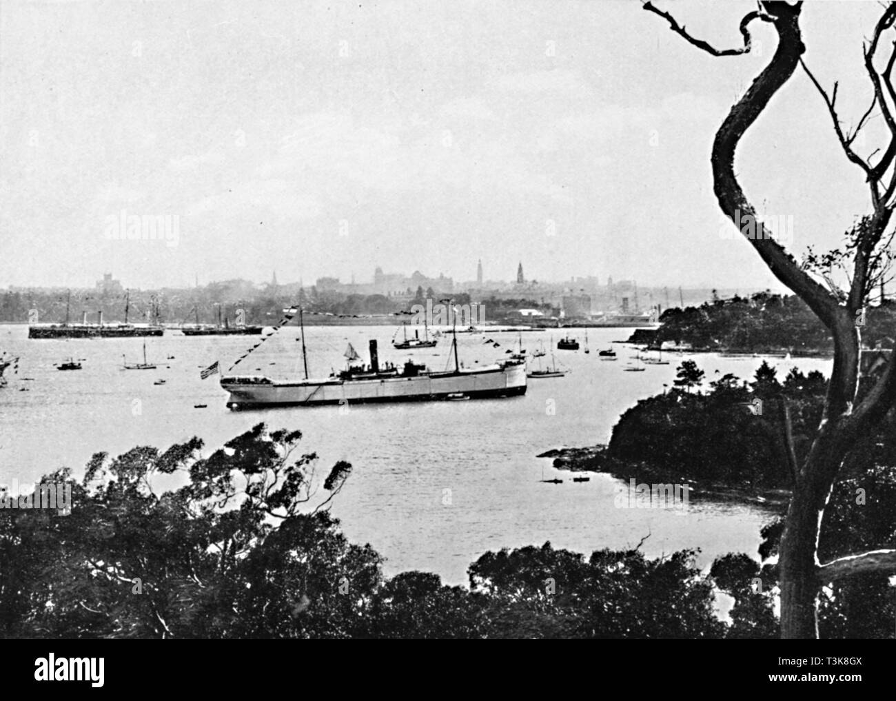 "Aussicht auf den Hafen von Sydney vom North Shore, Nr. 2, c 1900. Schöpfer: Unbekannt. Stockfoto