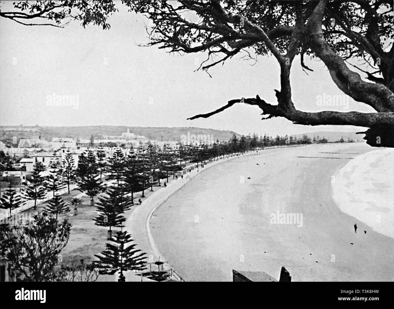 "Espanade, Manly Beach, c 1900. Schöpfer: Unbekannt. Stockfoto