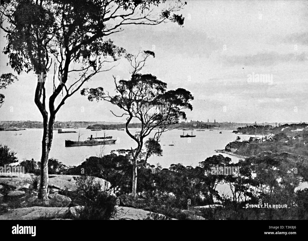 'Sydney Harbour, aus Cremorne Point, c 1900. Schöpfer: Unbekannt. Stockfoto