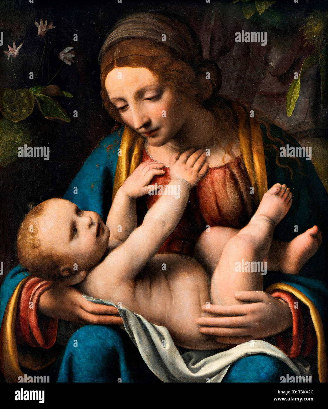 Madonna mit Kind, 1515-1523. Schöpfer: LUINI, Bernardino (Ca. 1480-1532). Stockfoto