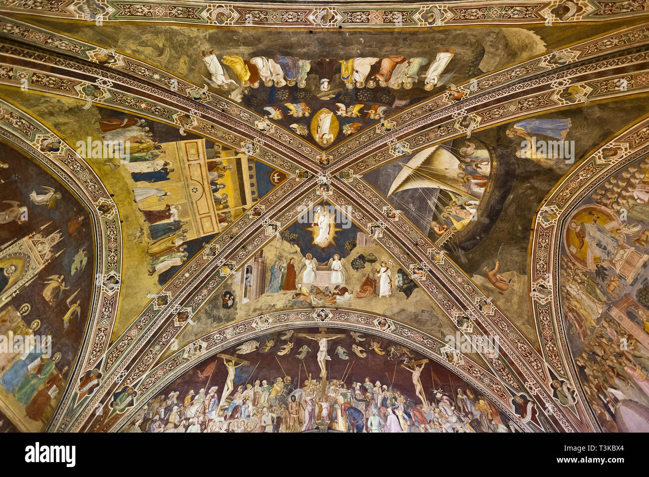 Decke der Spanischen Kapelle, Santa Maria Novella, Florenz Stockfoto