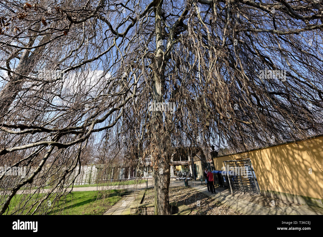 Foto von barocken Herrenhäuser Gärten in Hannover 2019. Deutschland. Herrenhäuser Gärten. Stockfoto