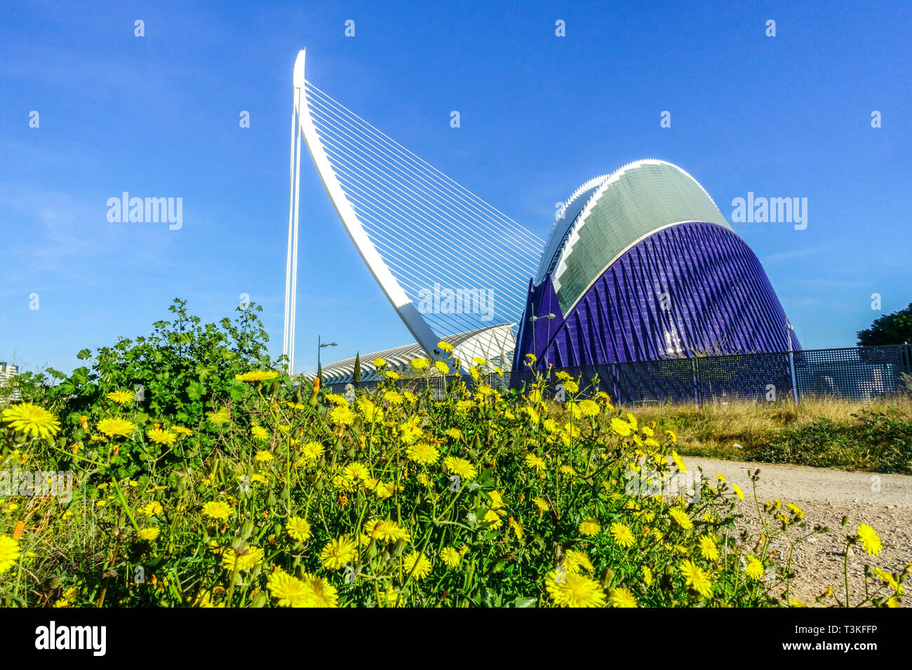 Valencia Stadt der Künste und Wissenschaft Agora, Calatrava, Moderne Architektur, Valencia Spanien Europa Agora Stockfoto