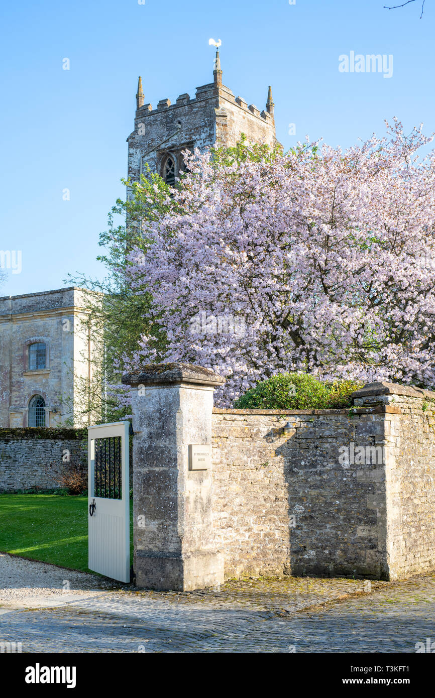 Prunus. Cherry Tree Blossom entlang der Church Lane in Aynho, Northamptonshire, England Stockfoto