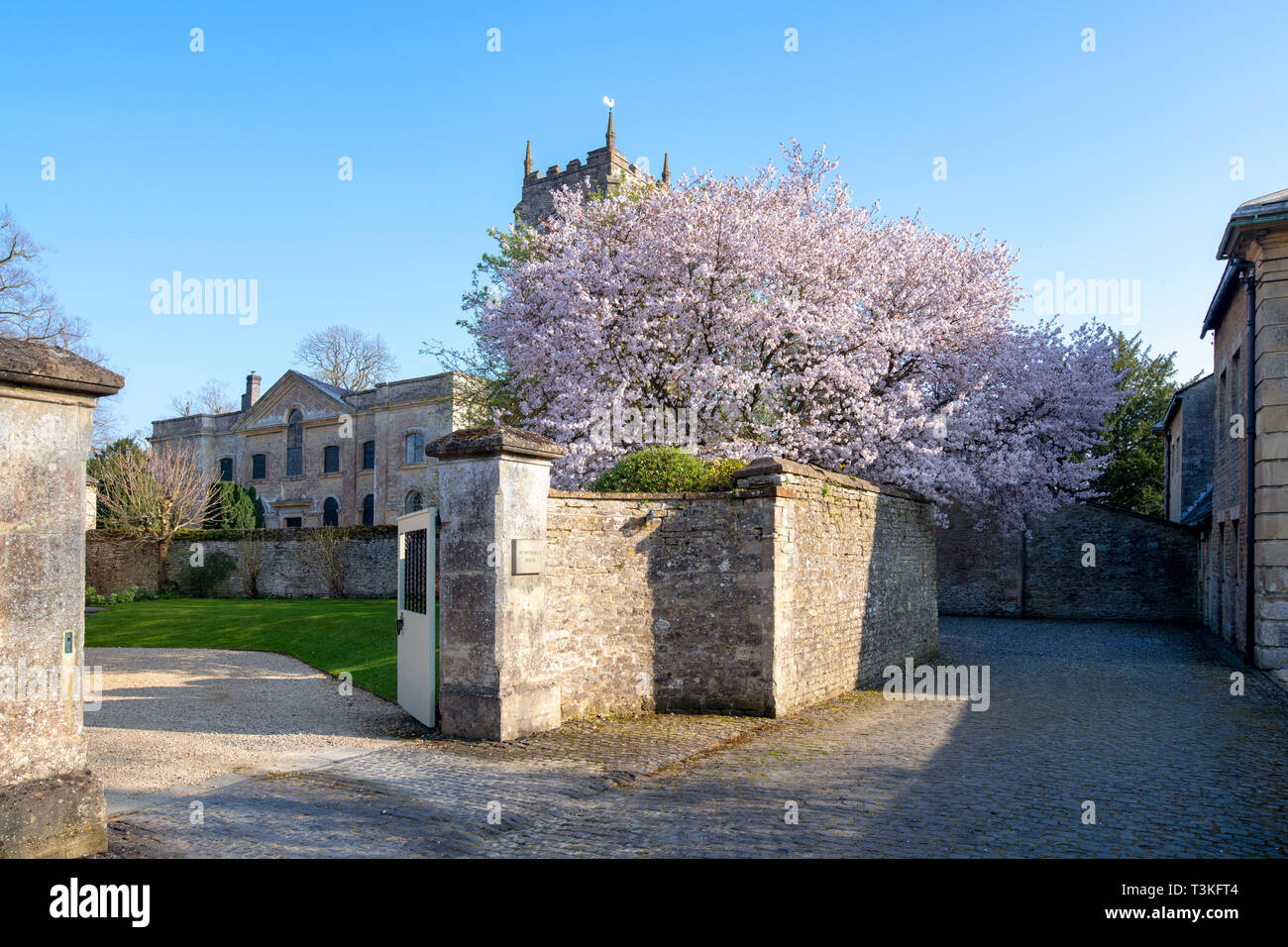 Prunus. Cherry Tree Blossom entlang der Church Lane in Aynho, Northamptonshire, England Stockfoto