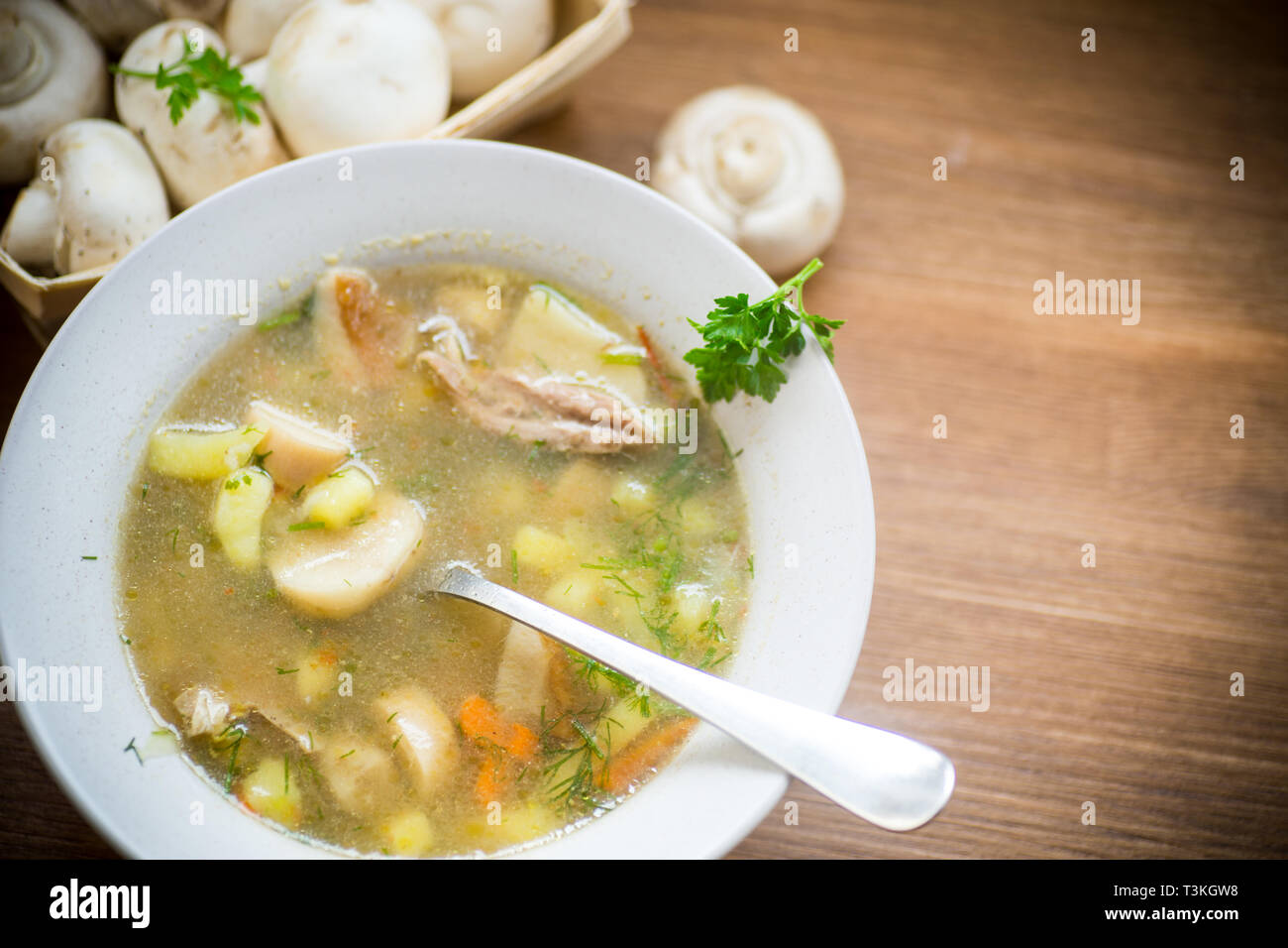 Hausgemachte ländlichen Suppe mit Gemüse und Pilze in eine Schüssel geben. Stockfoto