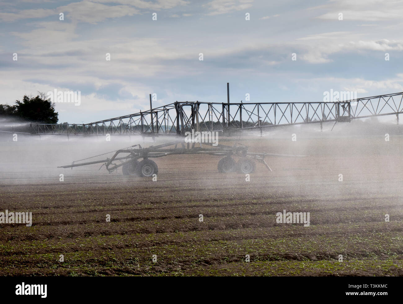 Großbritannien, England, Berkshire, landwirtschaftliche sprühen Chemikalien Stockfoto