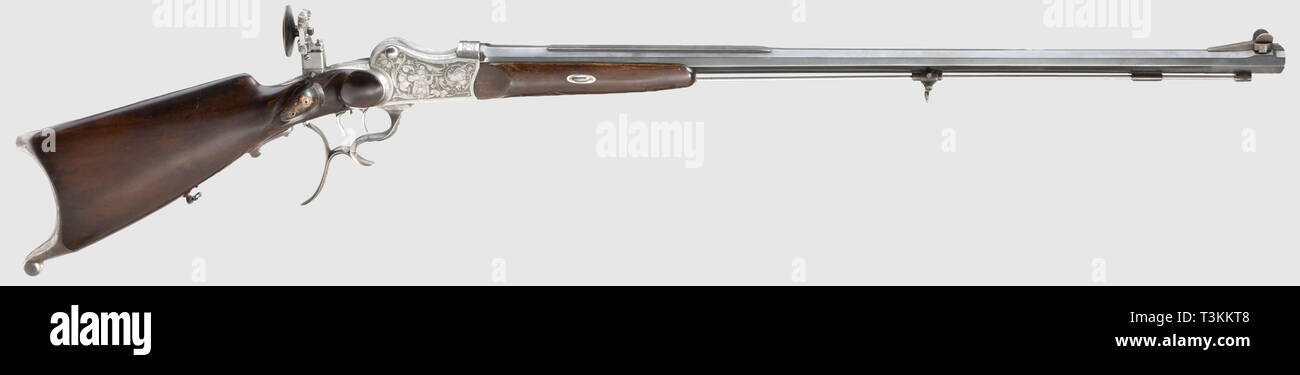 Die langen Arme, moderne Systeme, Gewehr, AdditionalRights Clearance