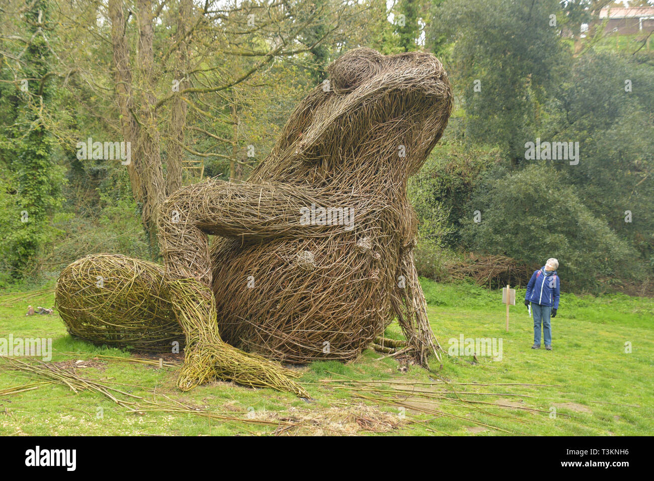 Willow Skulptur eines Riesen Kröte neben dem Wanderweg in Wasserwerken Tal auf Jersey CI Stockfoto
