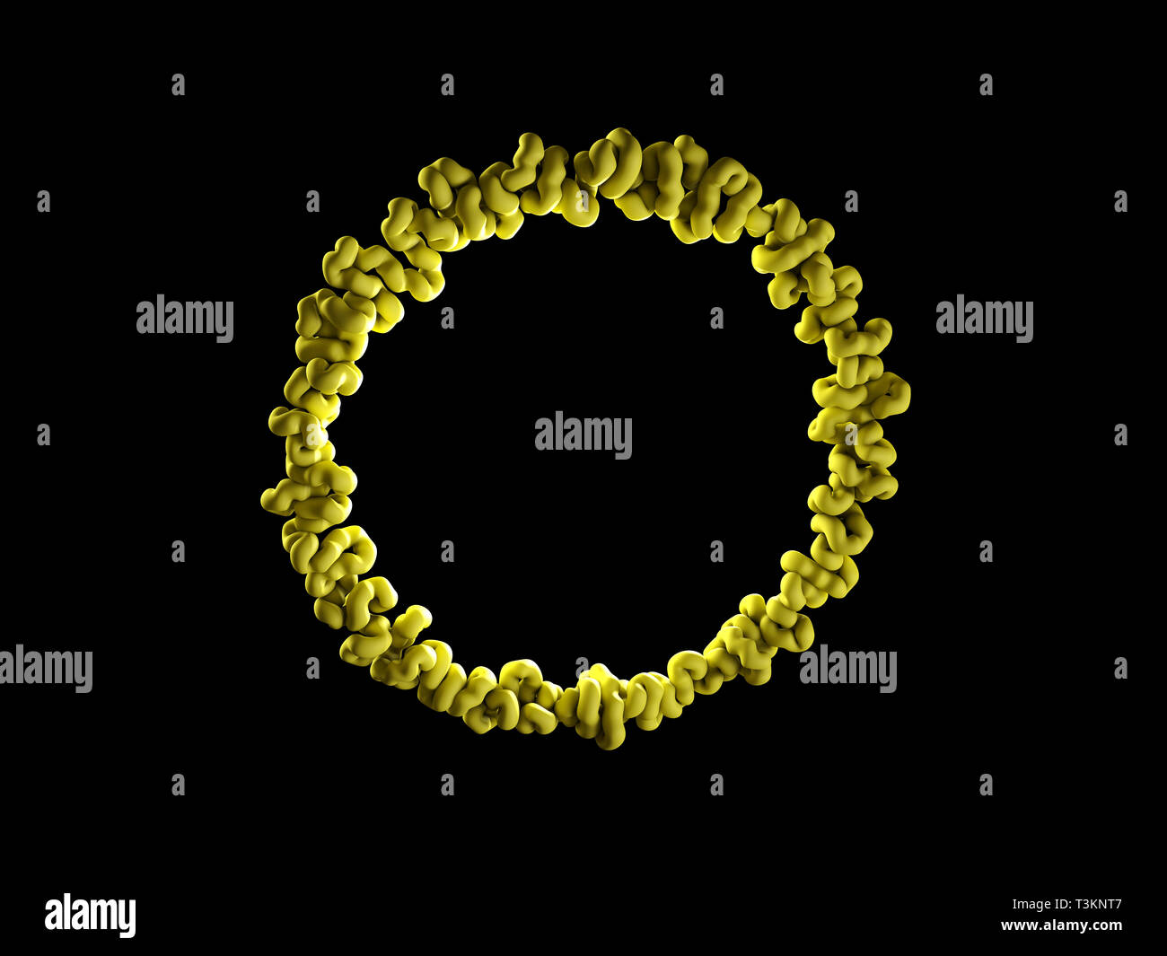 Borreliose Bakterien isoliert Schwarz 3D-Abbildung. Stockfoto