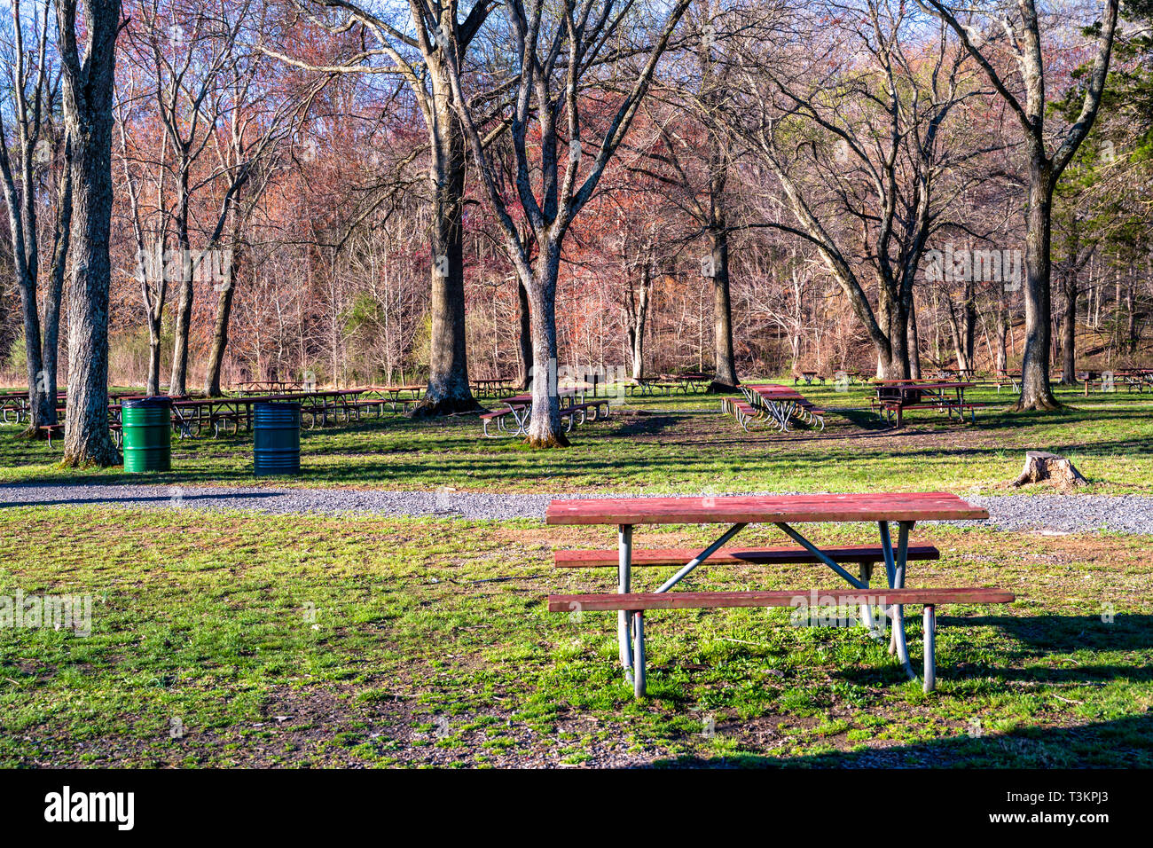 Ein Foto von einem Picknick im See Fairfax Park ein Picknick Tisch abgesehen von den anderen. Stockfoto