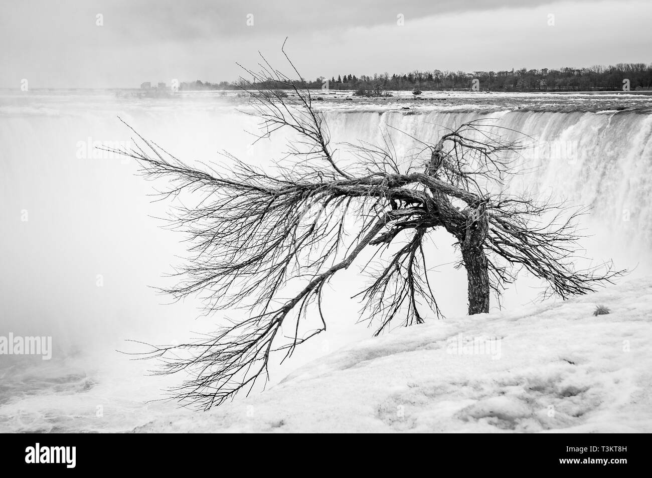 Niagara Falls Stockfoto