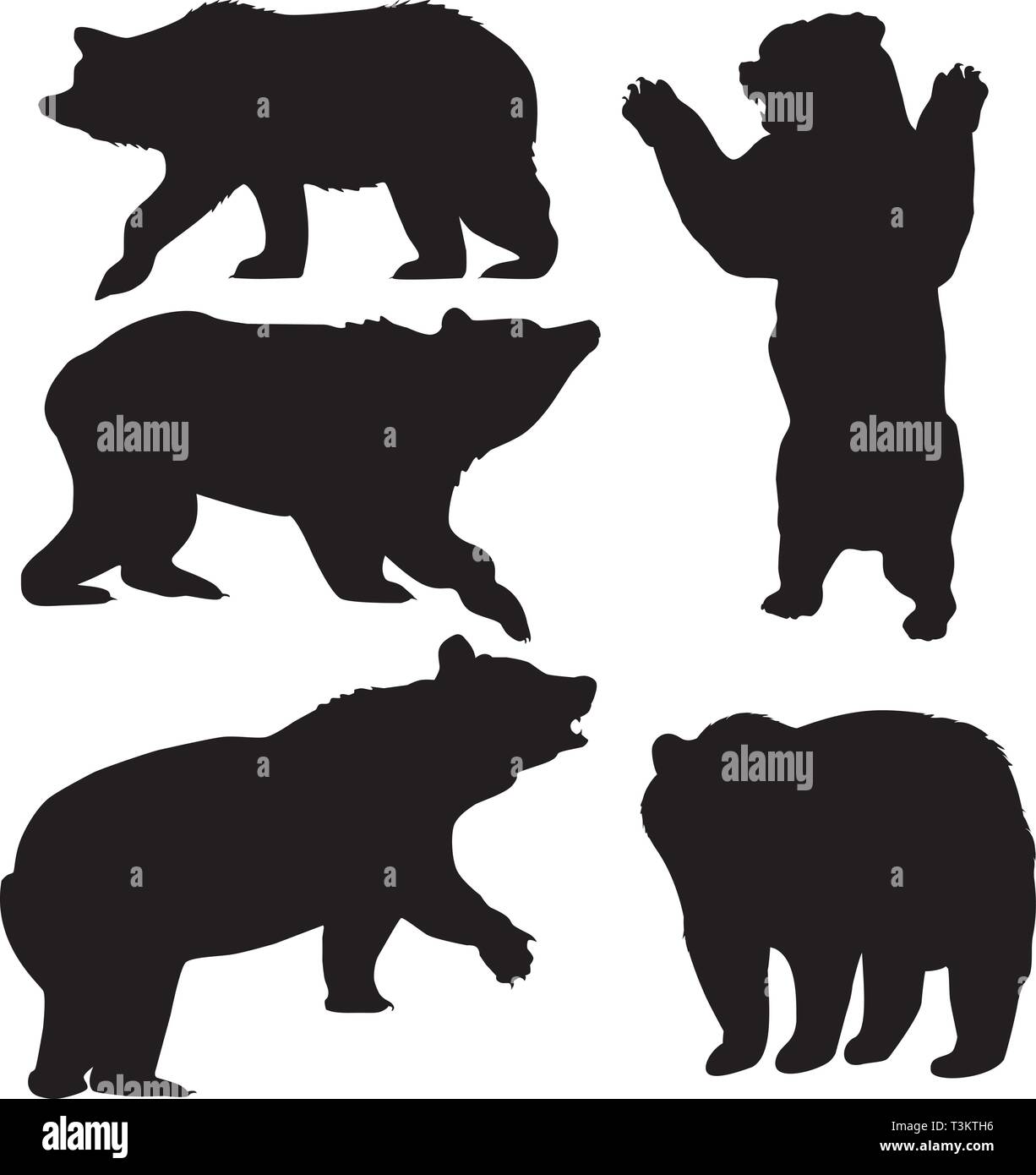 Vector Illustration der Satz von Grizzly und Braunbären. Stock Vektor
