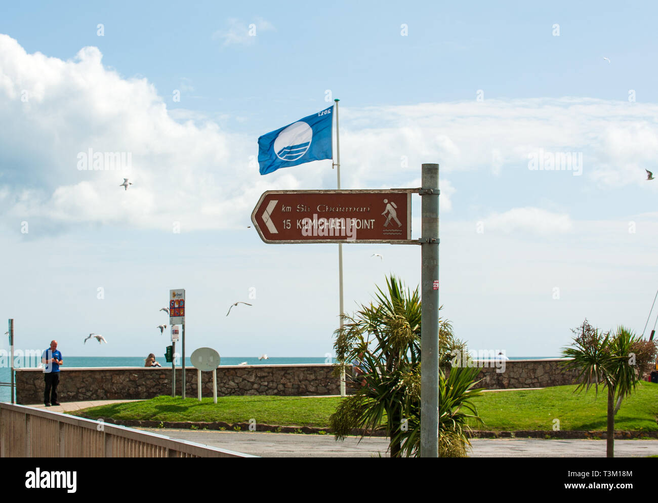 Courtown, Irland - 23 August 2017. Beliebte Badeort mit einer Blauen Flagge ausgezeichnete Strand in Co Wexford, Irland Stockfoto