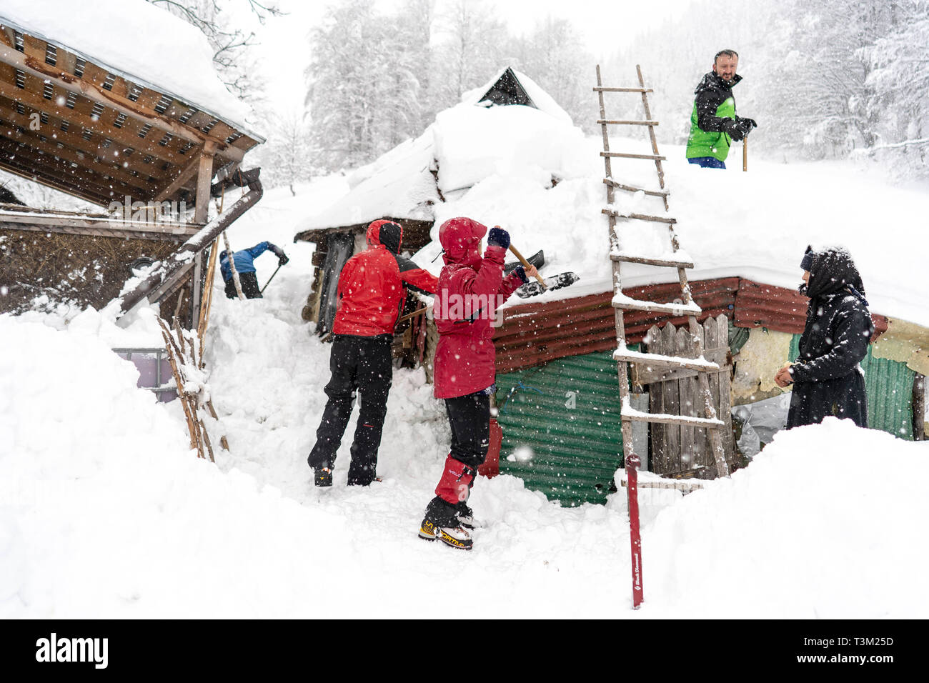 Wanderer freiwillig helfen den Schnee in einem abgelegenen Kloster auf dem Hauptweg auf 1400 m Höhe im Nationalpark Retezat, Rumänien entfernt Schaufeln, Stockfoto