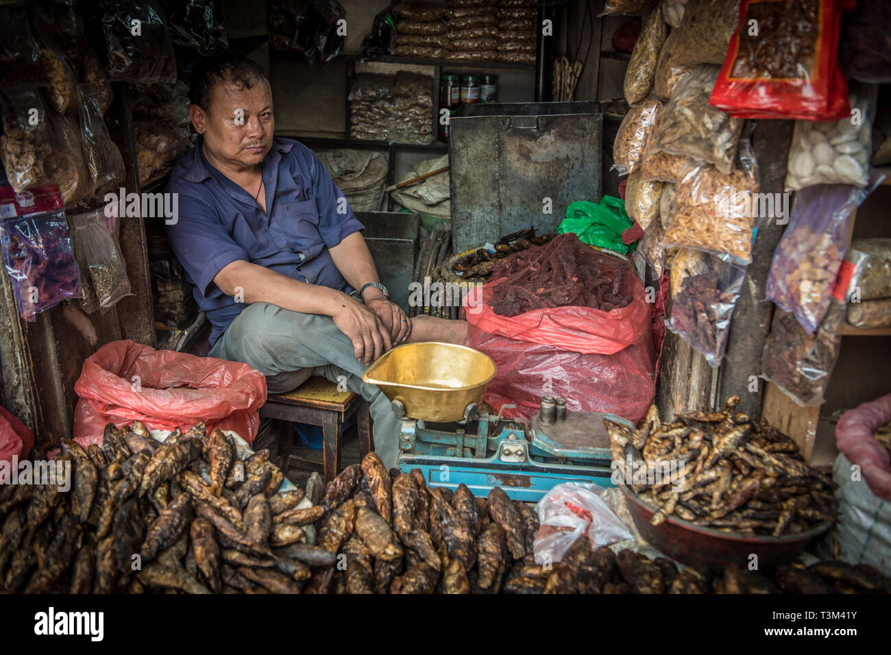 Mann Verkauf von getrockneten Fisch an Ason Chok Markt, Kathmandu, Nepal Stockfoto