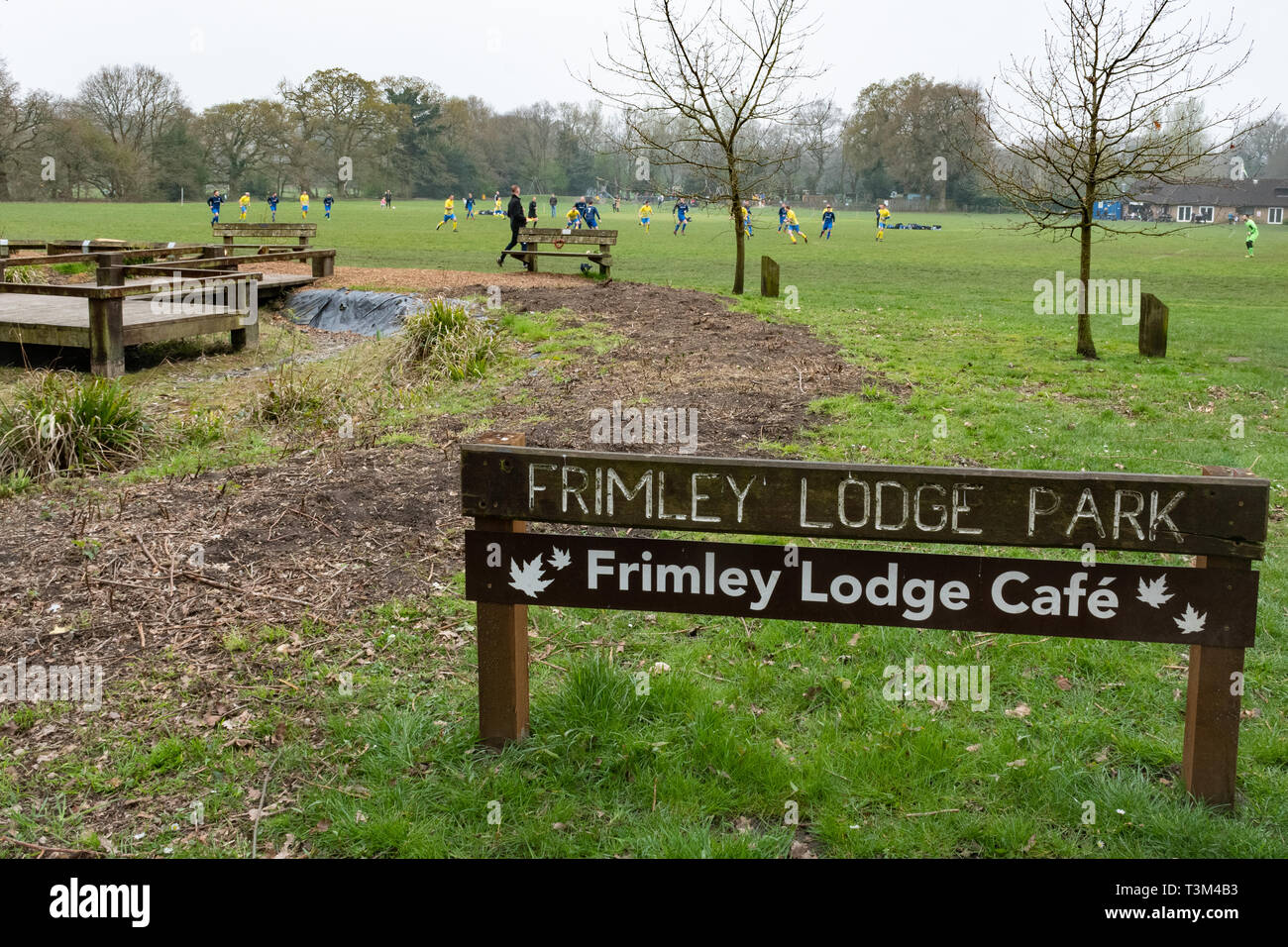 In Frimley Lodge Park mit Fußballspiel im Hintergrund gespielt wird Stockfoto