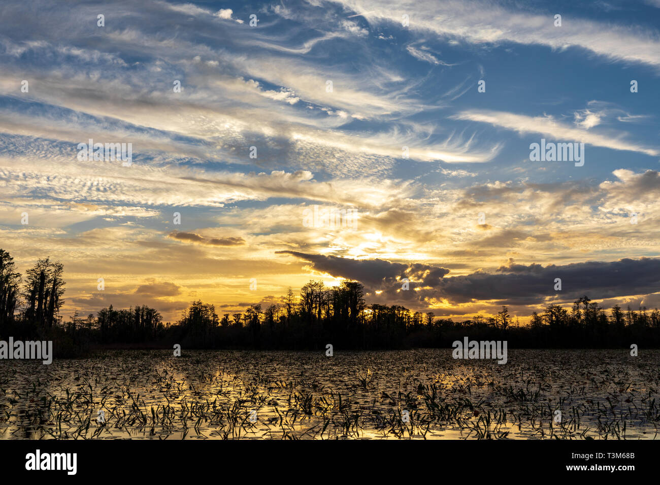 Landschaft Sonnenuntergang an der Ostseite der Okefenokee swamp Zuflucht. Stockfoto