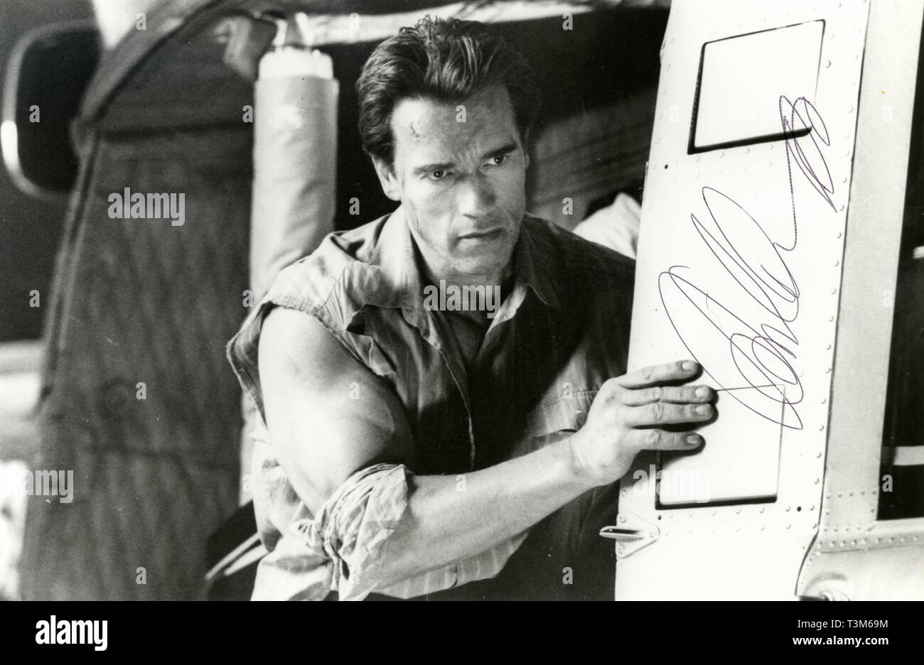 sagte-schwarzenegger-fotos-und-bildmaterial-in-hoher-aufl-sung-alamy
