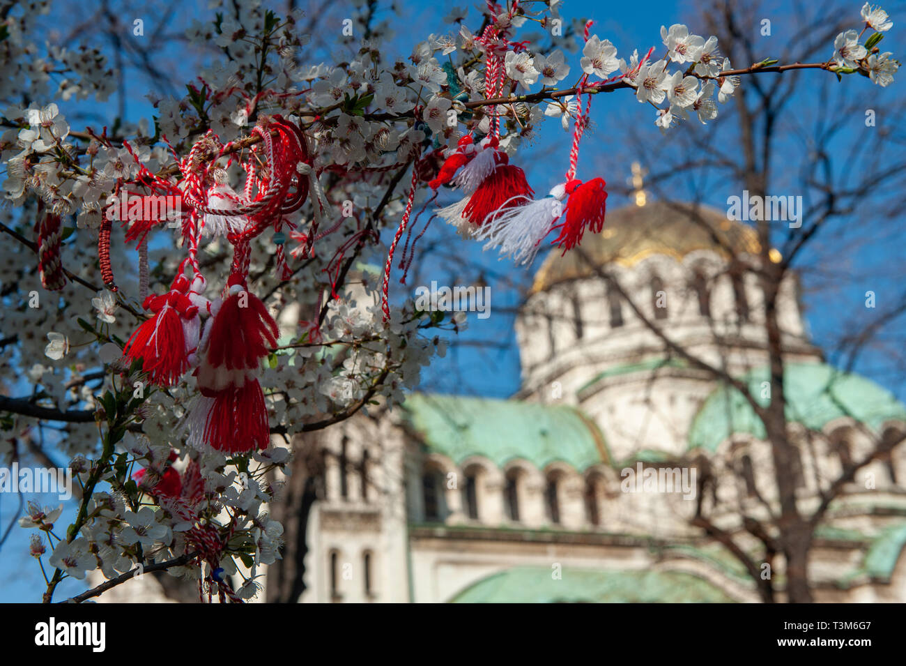 Martenitsi hängen von der Zweig eines Baumes außerhalb der Alexander-Newski-Kathedrale in Sofia, Bulgarien, Europa. Stockfoto