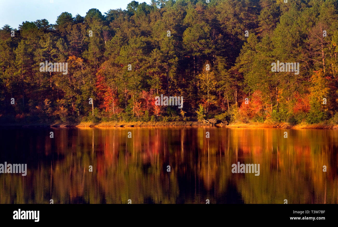 Blätter im Herbst wieder im Wasser am See Nicol in Tuscaloosa, Alabama, Okt. 29, 2008. Stockfoto