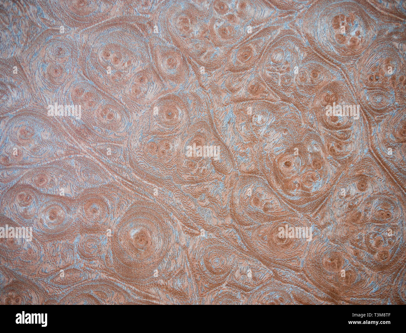 MDF-Oberfläche und Textur wallpaper Stockfoto