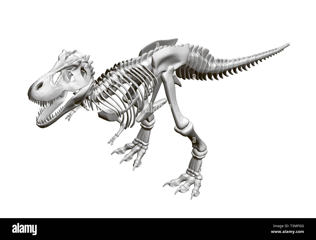 Dinosaurier Skelett. Isometrische Ansicht. 3D. Vector Illustration Stock Vektor