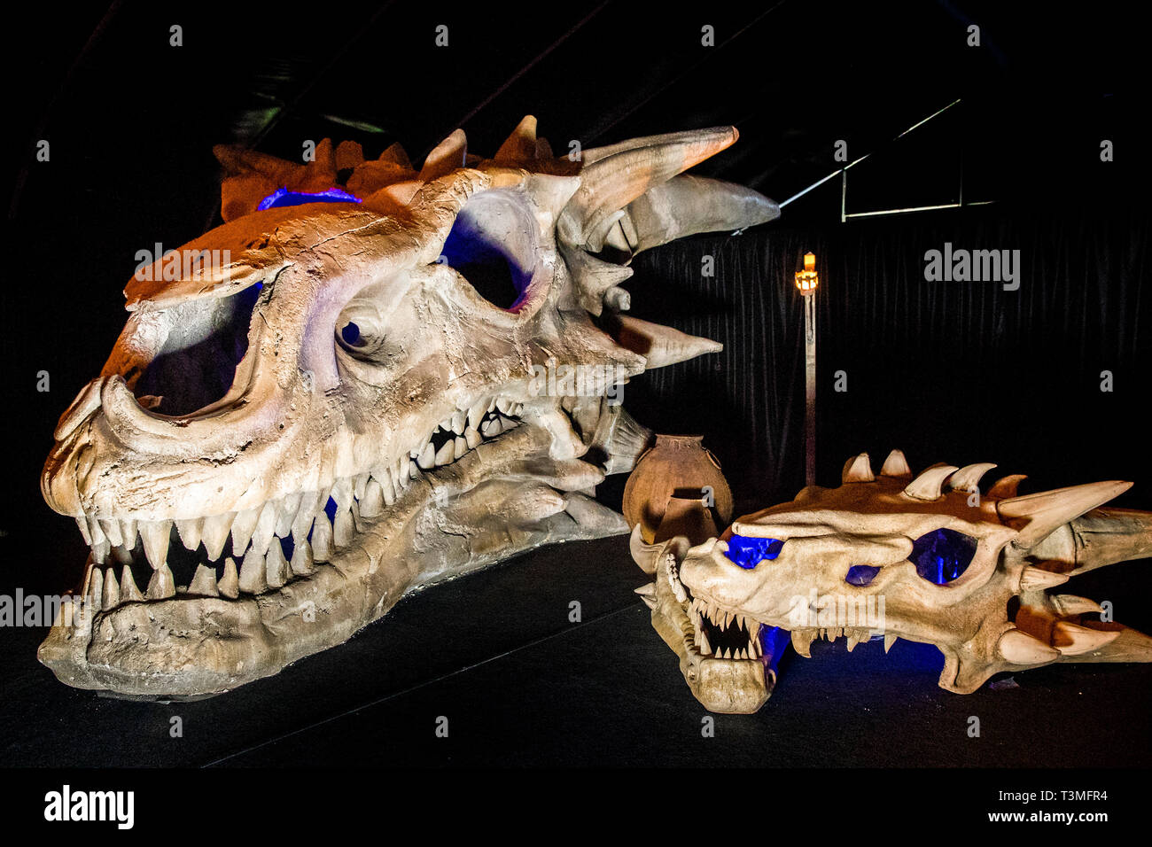 Der Schädel der Drache namens Balerion das Dread (links), ist 30 Meter lang, 11 Meter hoch und 16 Meter breit, bei der Vorstellung des Spiel der Throne Ausstellung in der Titanic Exhibition Centre in Belfast touring. Stockfoto