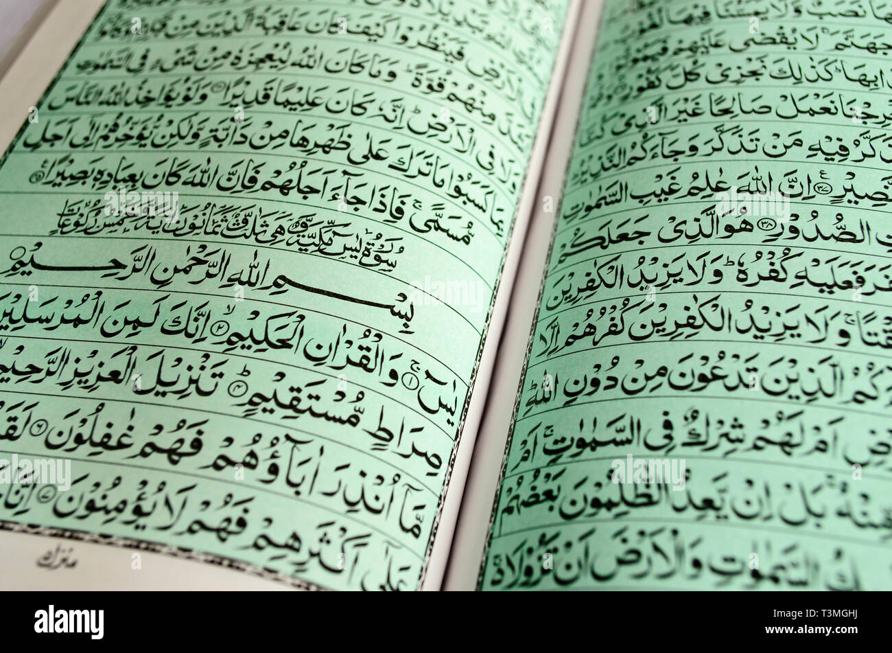 Wie Viele Seiten Hat Der Quran www.alamy.de