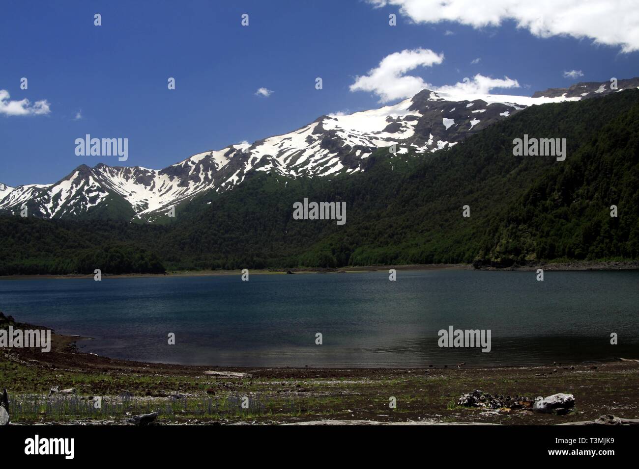 Vulkan Llaima in der Conguillio Nationalpark in Zentralchile - Blick über den See auf schwarz Peak mit isolierten Flecken Schnee Stockfoto