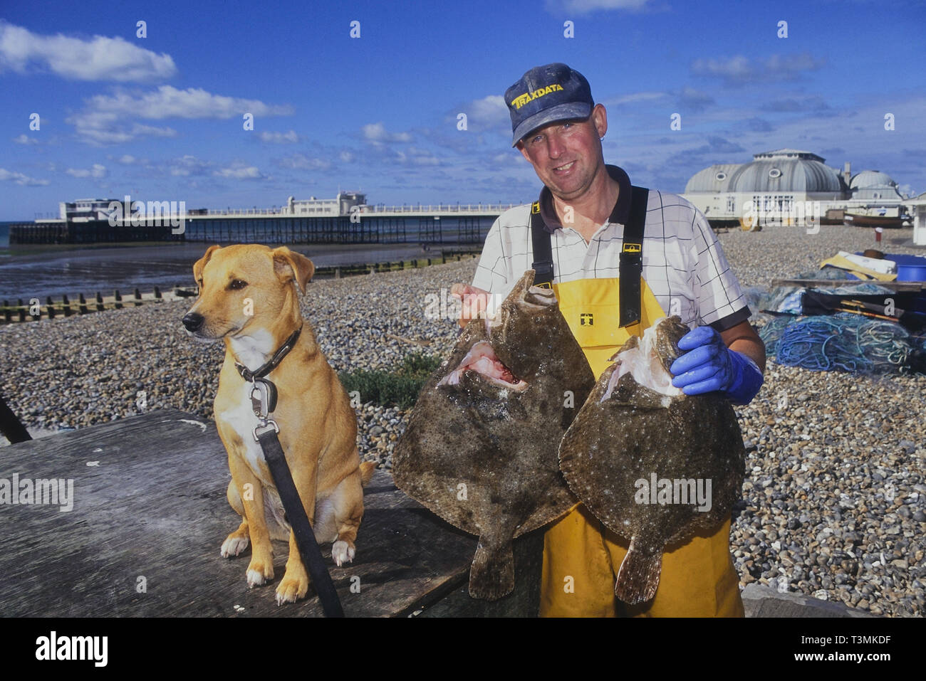 Eine Stütze der frisch gefangenen Fischen, Worthing, West Sussex, England, Großbritannien Stockfoto