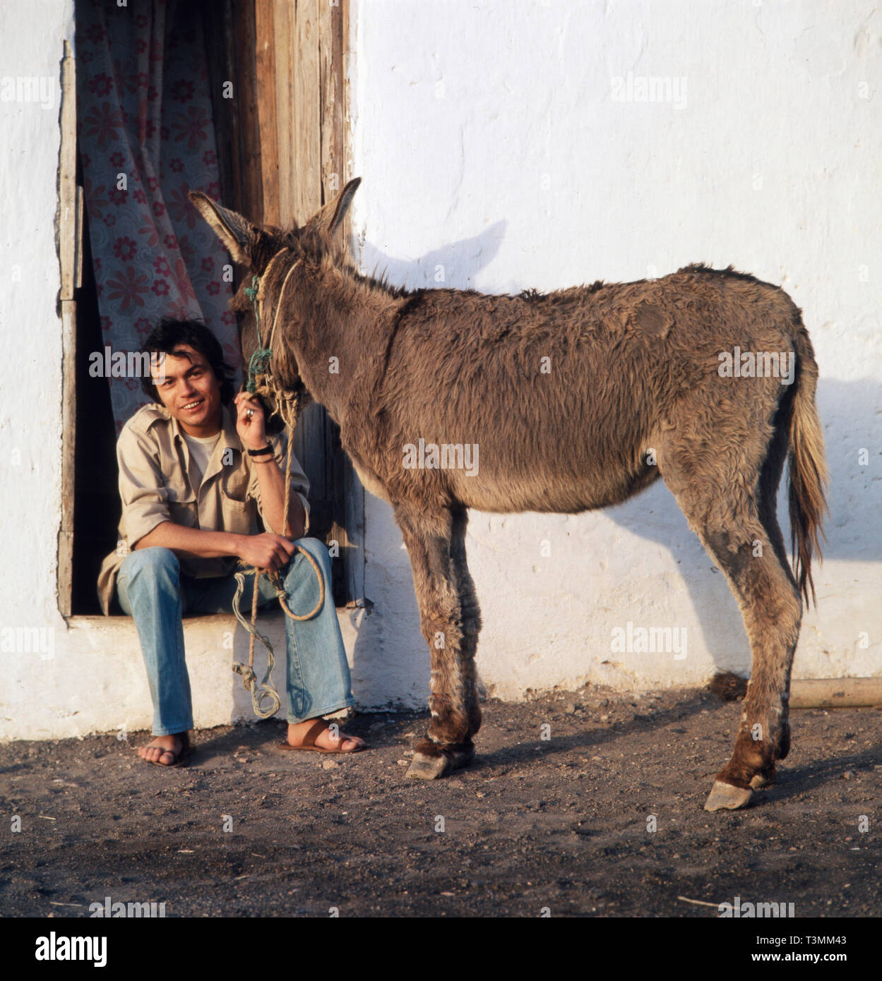 Deutscher Komponist, Sänger und Gitarrist Henner Hoier im türkeirundreise beim Posieren mit einem Esel, Ca. 1980er. Deutsche Komponist, Sänger und Gitarrist Henner Hoier auf einen Sommerurlaub mit einem Esel Posing, Ca. 80er Jahre. Stockfoto