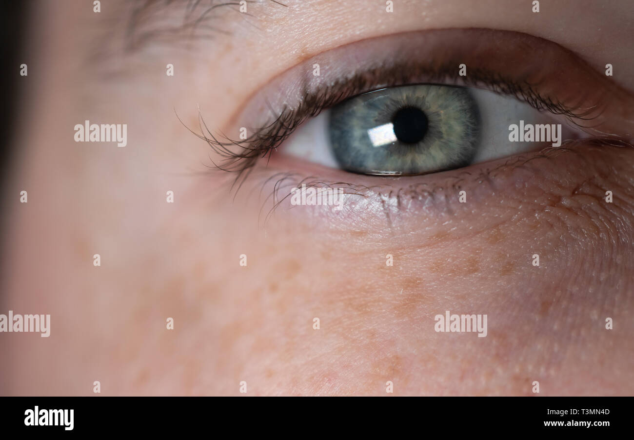 Blau Grün kaukasischen Mann Auge Nahaufnahme Stockfoto