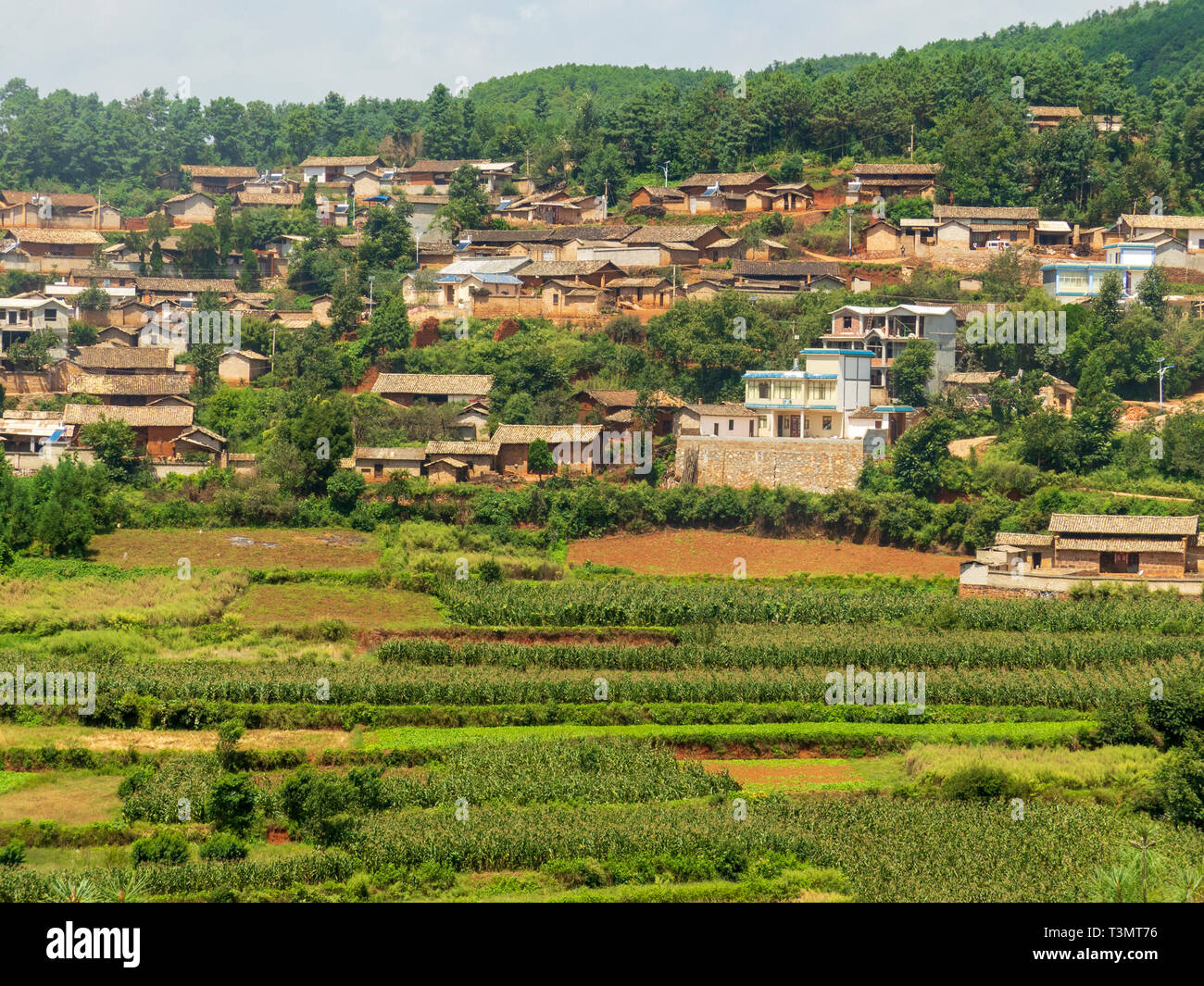 Honghe Hani Dorf und Reisterrassen ist die Terrasse in der Präfektur Honghe, Yuanyang County, Yunnan, China. Es ist ein Weltkulturerbe und Stockfoto