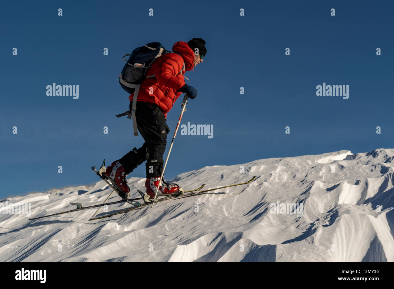 Männliche backcountry Skier steigt an den Hängen des Tarcu Gipfel, Rumänien Stockfoto