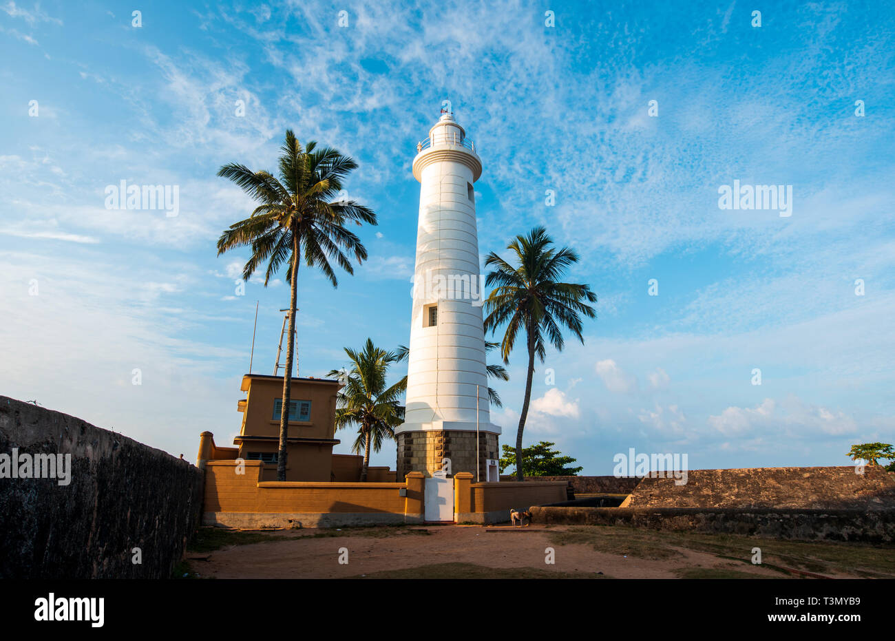 Galle Dutch Festung Leuchtturm und Kokospalmen in Sri Lanka Stockfoto