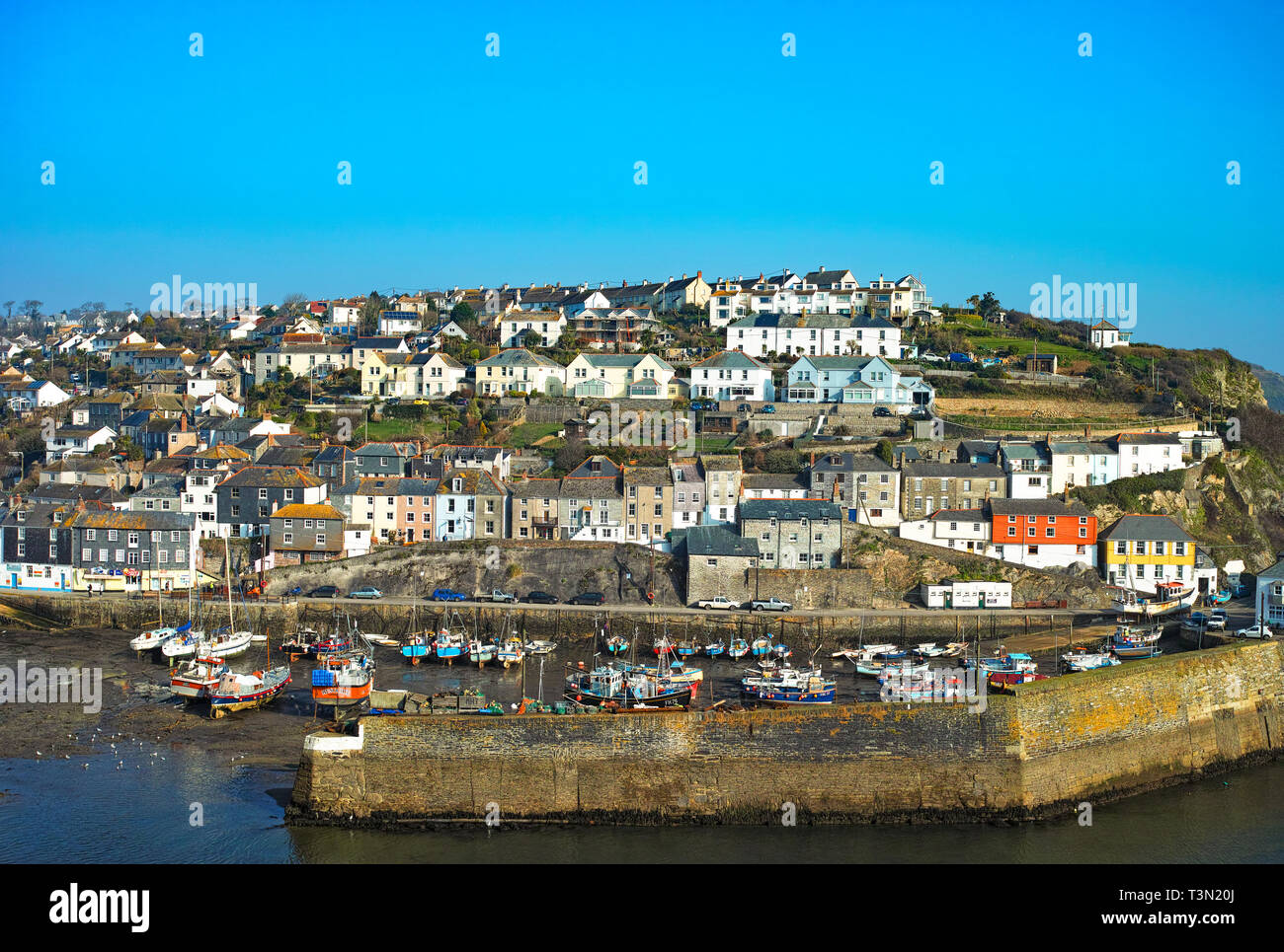 Häuser rund um den Hafen von Mevagissey cornwall England Großbritannien Stockfoto