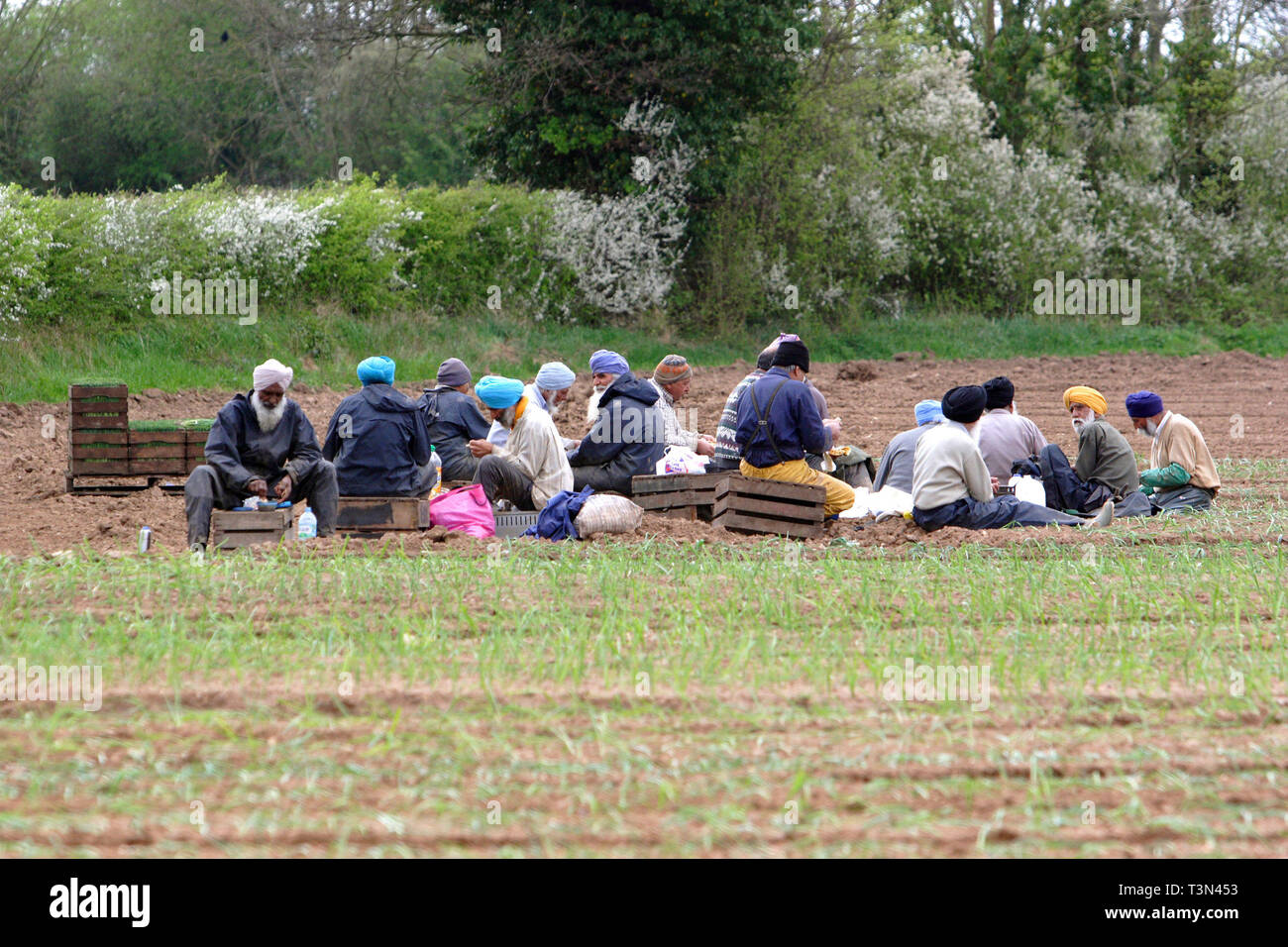 Älteren Sikh Arbeitnehmer aus Birmingham in Ihrer Mittagspause. Warwickshire. 27/04/2006 Stockfoto