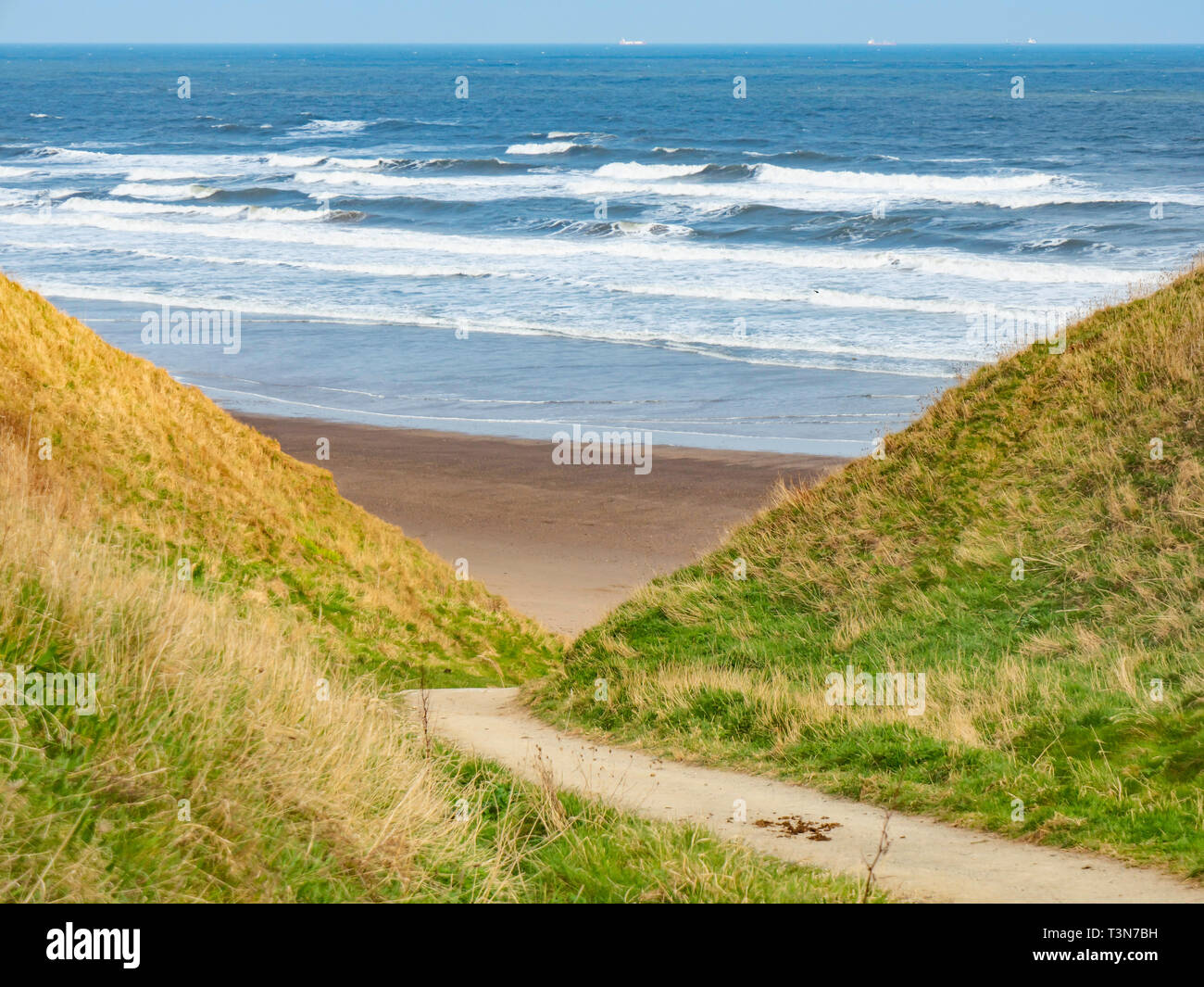 Eine steile Zaum weg für Reiter Zugriff auf der Klippe zwischen Marske und saltburn an der Küste von North Yorkshire Stockfoto