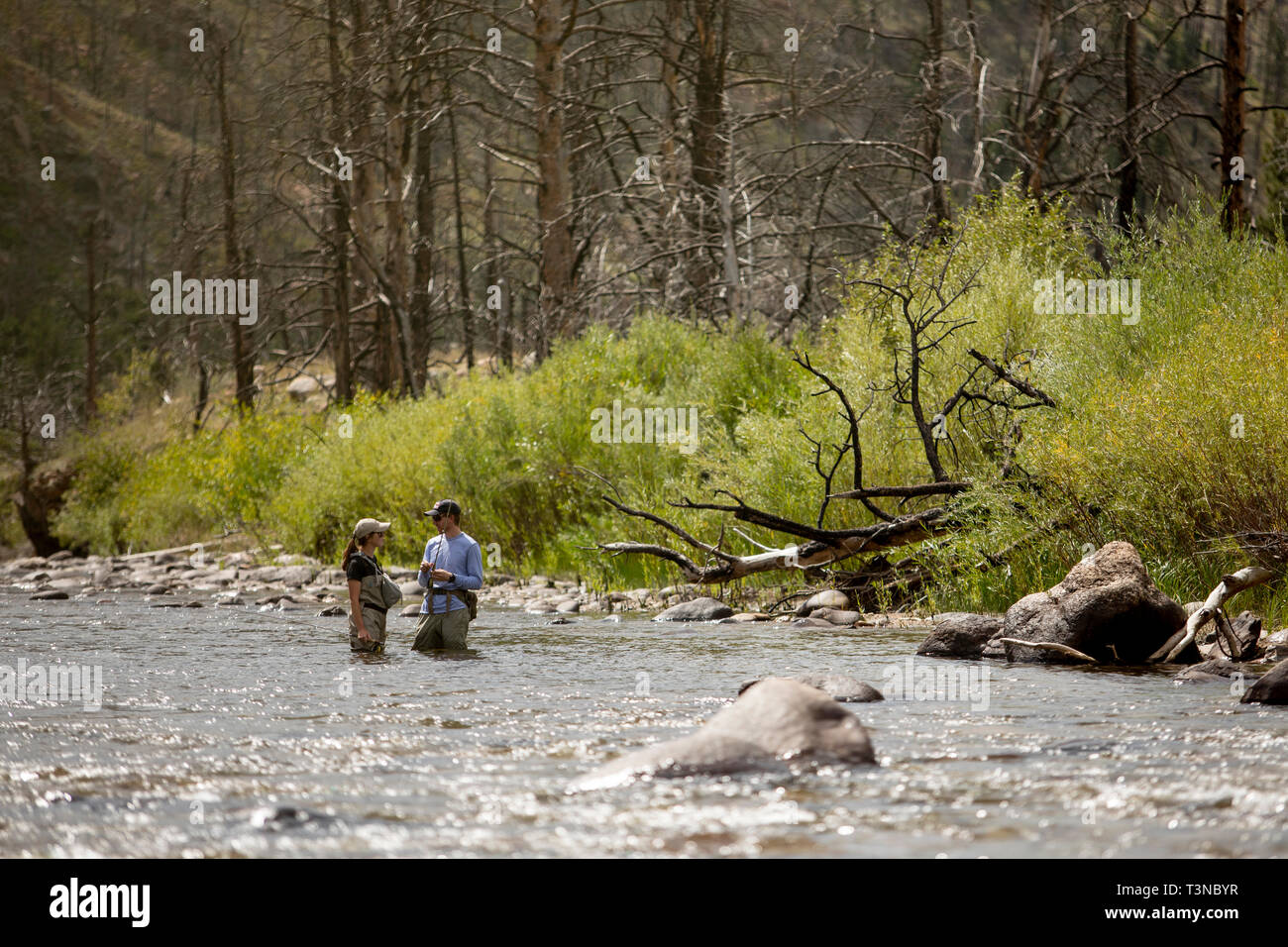 Mann und Frau Fliegenfischen Stockfoto