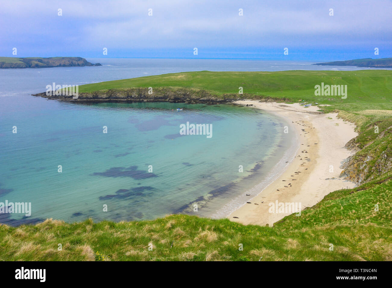 West Voe Strand, Dunrossness Parish, Shetland, Nördliche Inseln, Schottland, Vereinigtes Königreich Stockfoto